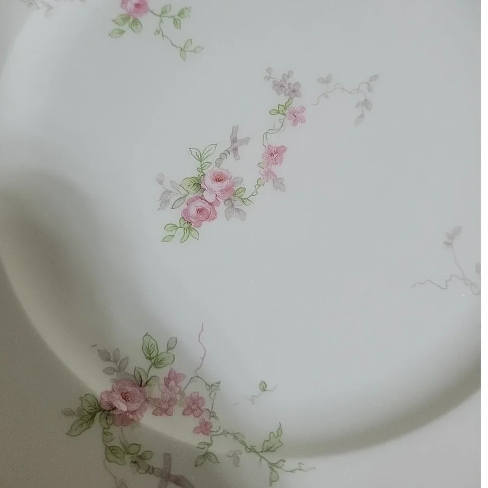 Haviland Limoges haviland limoges
